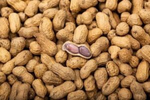 kacang tanah